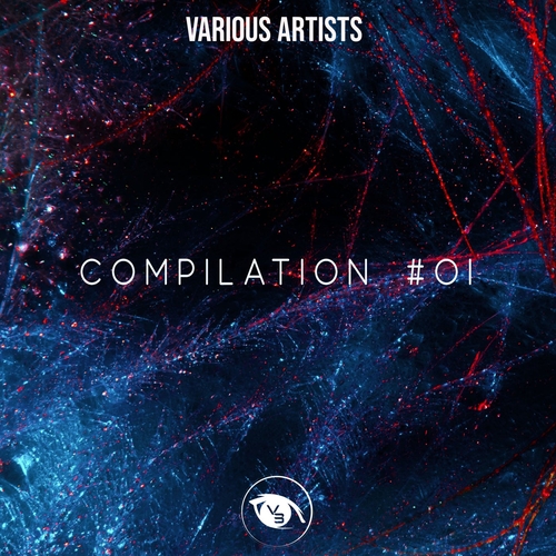 VA - Compilation 01 [VSN083]